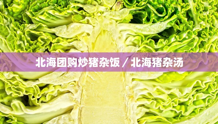 北海团购炒猪杂饭／北海猪杂汤