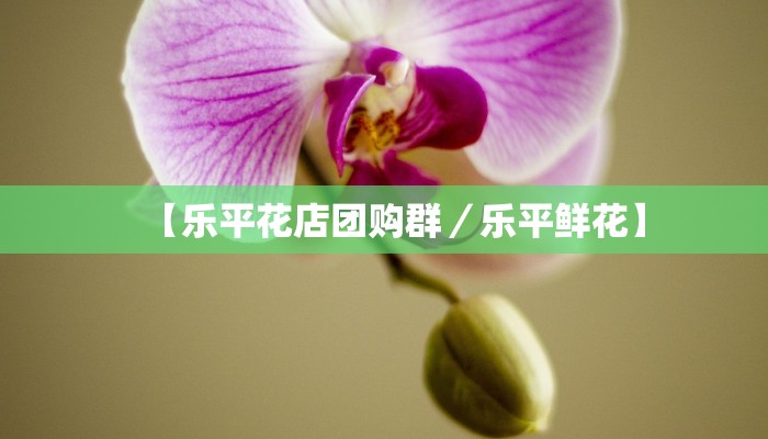 【乐平花店团购群／乐平鲜花】