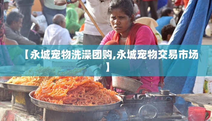 【永城宠物洗澡团购,永城宠物交易市场】