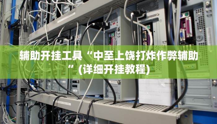 辅助开挂工具“中至上饶打炸作弊辅助”(详细开挂教程)