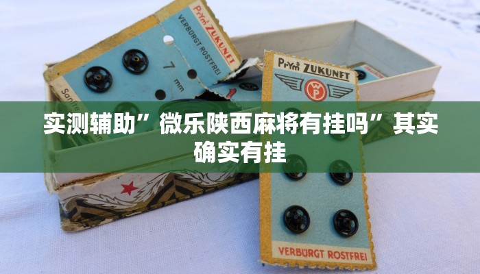 实测辅助”微乐陕西麻将有挂吗”其实确实有挂