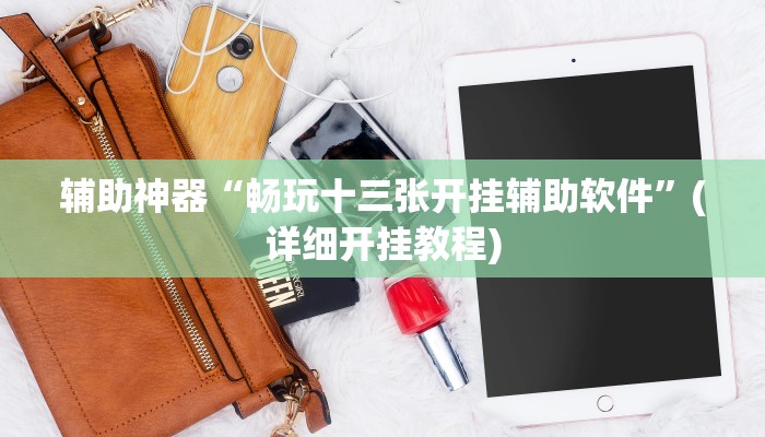 辅助神器“畅玩十三张开挂辅助软件”(详细开挂教程)