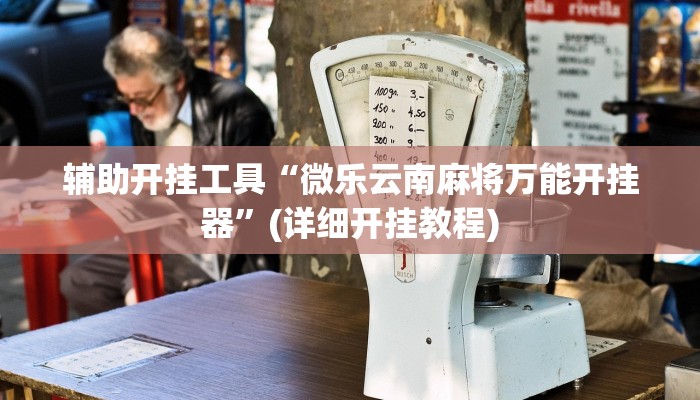 辅助开挂工具“微乐云南麻将万能开挂器”(详细开挂教程)