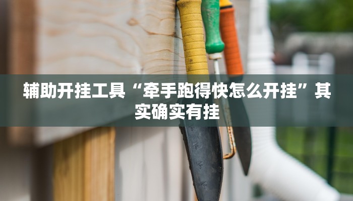 辅助开挂工具“牵手跑得快怎么开挂”其实确实有挂