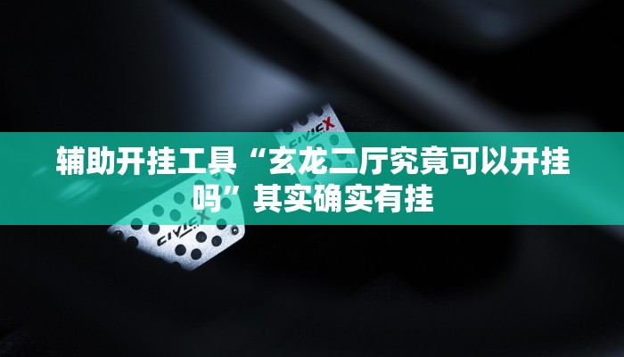 辅助开挂工具“玄龙二厅究竟可以开挂吗”其实确实有挂