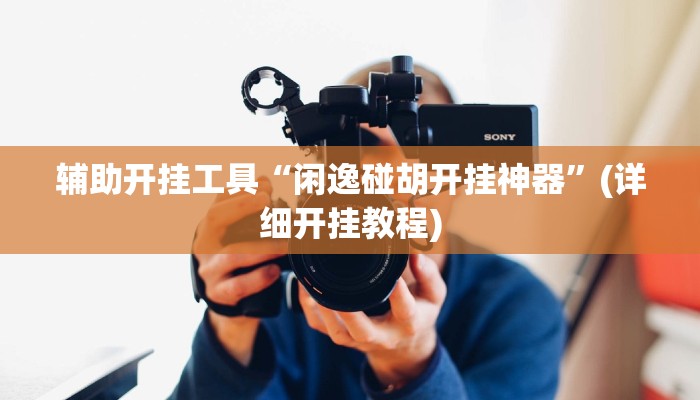辅助开挂工具“闲逸碰胡开挂神器”(详细开挂教程)
