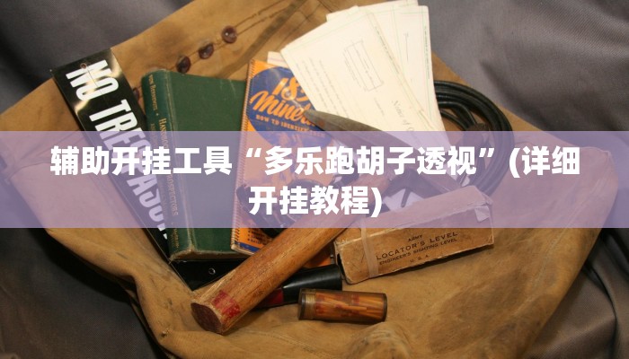辅助开挂工具“多乐跑胡子透视”(详细开挂教程)