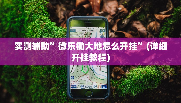 实测辅助”微乐锄大地怎么开挂”(详细开挂教程)