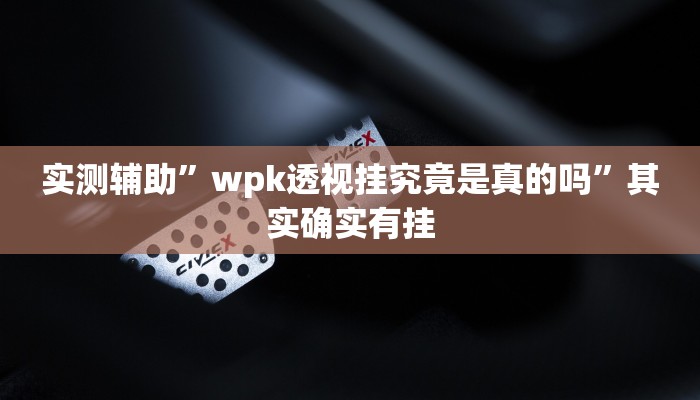 实测辅助”wpk透视挂究竟是真的吗”其实确实有挂