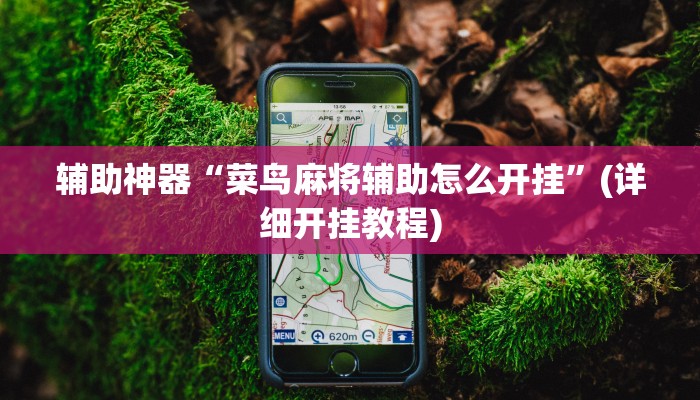 辅助神器“菜鸟麻将辅助怎么开挂”(详细开挂教程)