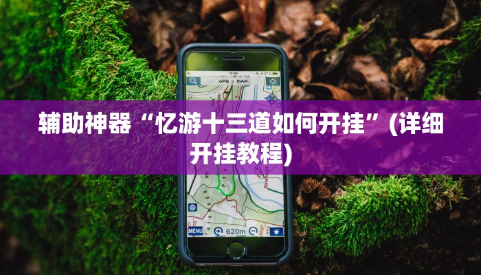 辅助神器“忆游十三道如何开挂”(详细开挂教程)