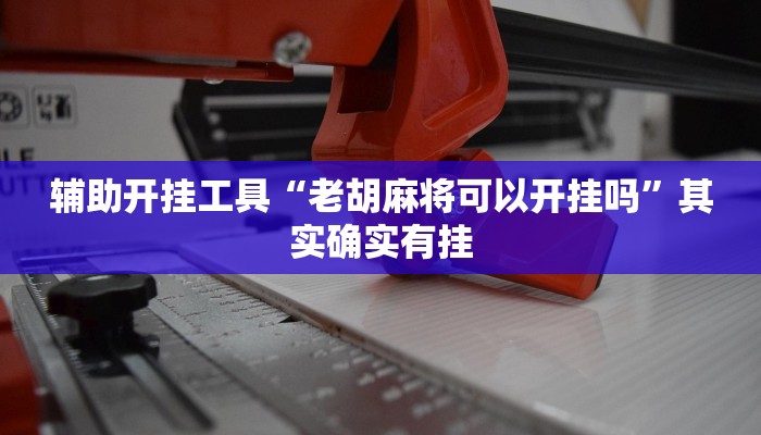 辅助开挂工具“老胡麻将可以开挂吗”其实确实有挂