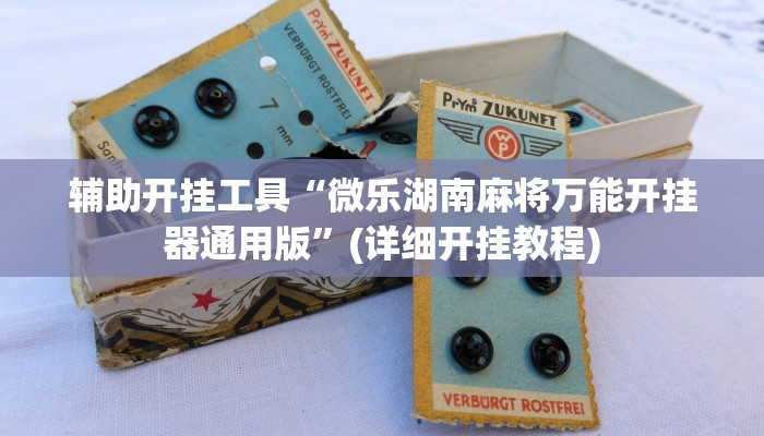辅助开挂工具“微乐湖南麻将万能开挂器通用版”(详细开挂教程)