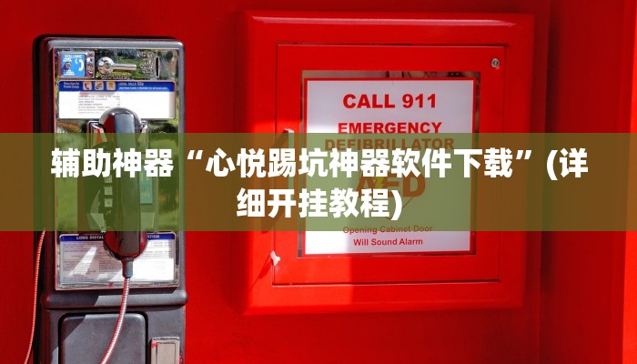 辅助神器“心悦踢坑神器软件下载”(详细开挂教程)