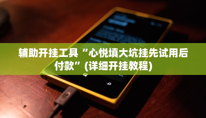 辅助开挂工具“心悦填大坑挂先试用后付款”(详细开挂教程)