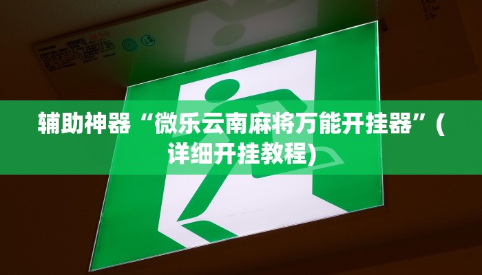 辅助神器“微乐云南麻将万能开挂器”(详细开挂教程)