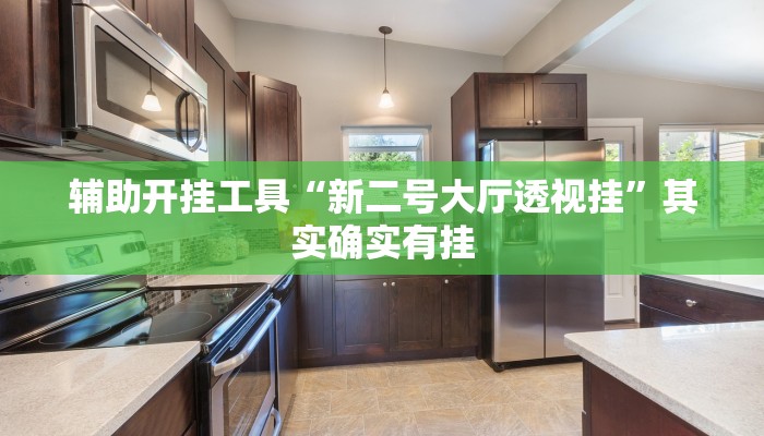 辅助开挂工具“新二号大厅透视挂”其实确实有挂