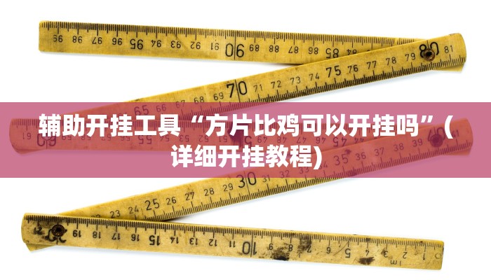 辅助开挂工具“方片比鸡可以开挂吗”(详细开挂教程)