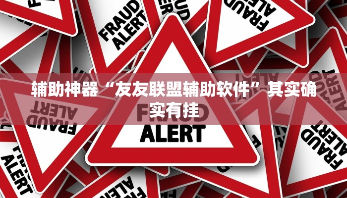 辅助神器“友友联盟辅助软件”其实确实有挂