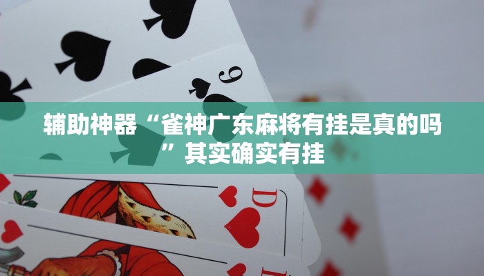 辅助神器“雀神广东麻将有挂是真的吗”其实确实有挂