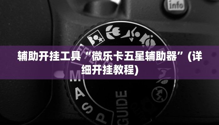 辅助开挂工具“微乐卡五星辅助器”(详细开挂教程)