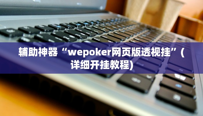 辅助神器“wepoker网页版透视挂”(详细开挂教程)