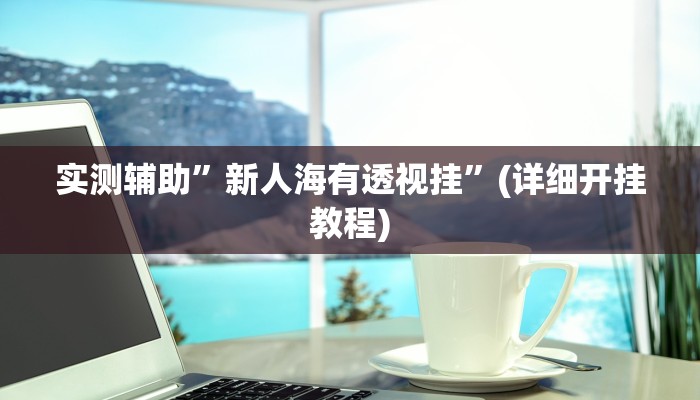 实测辅助”新人海有透视挂”(详细开挂教程)