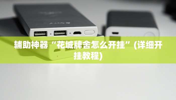 辅助神器“花城牌舍怎么开挂”(详细开挂教程)