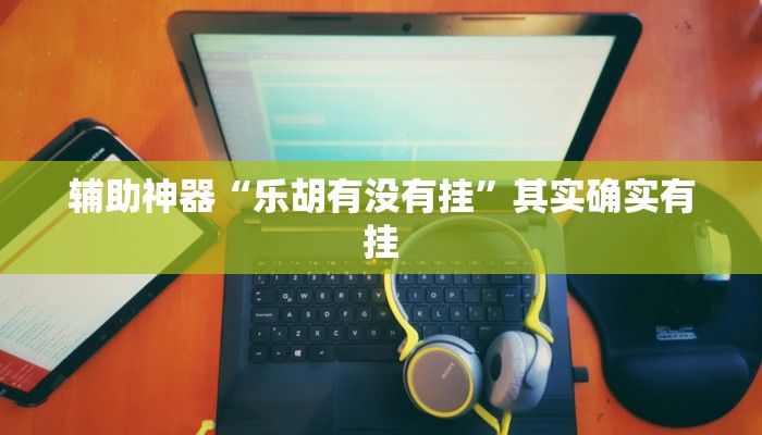 辅助神器“乐胡有没有挂”其实确实有挂