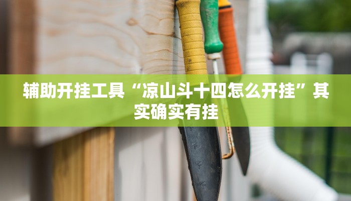 辅助开挂工具“凉山斗十四怎么开挂”其实确实有挂