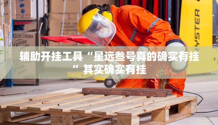辅助开挂工具“星远叁号真的确实有挂”其实确实有挂