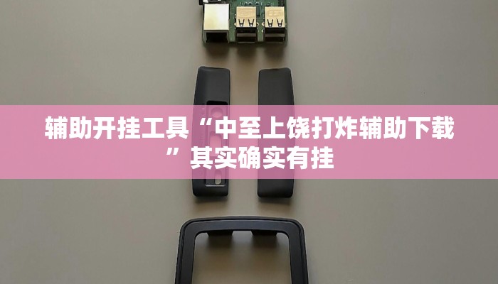 辅助开挂工具“中至上饶打炸辅助下载”其实确实有挂