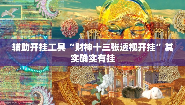 辅助开挂工具“财神十三张透视开挂”其实确实有挂