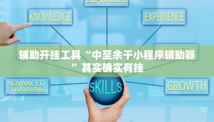 辅助开挂工具“中至余干小程序辅助器”其实确实有挂