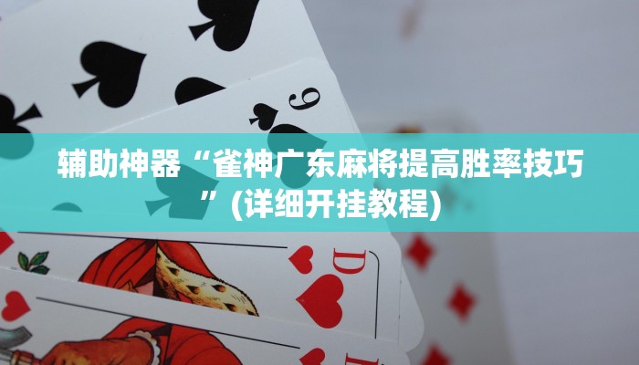辅助神器“雀神广东麻将提高胜率技巧”(详细开挂教程)