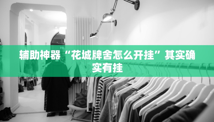 辅助神器“花城牌舍怎么开挂”其实确实有挂