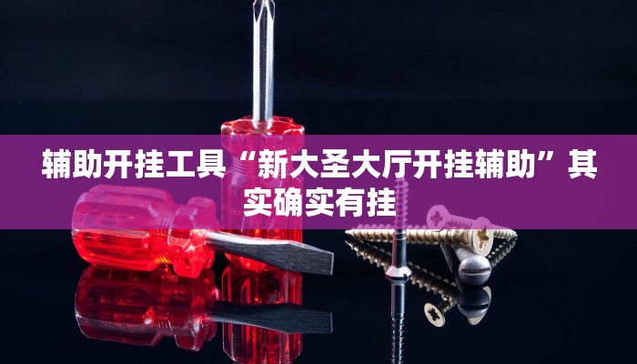 辅助开挂工具“新大圣大厅开挂辅助”其实确实有挂