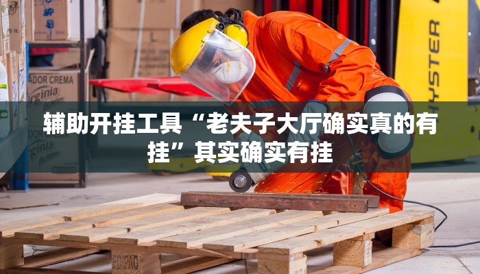 辅助开挂工具“老夫子大厅确实真的有挂”其实确实有挂