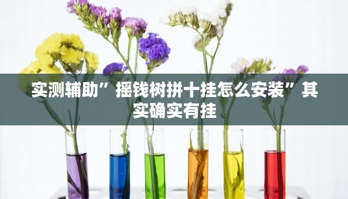 实测辅助”摇钱树拼十挂怎么安装”其实确实有挂