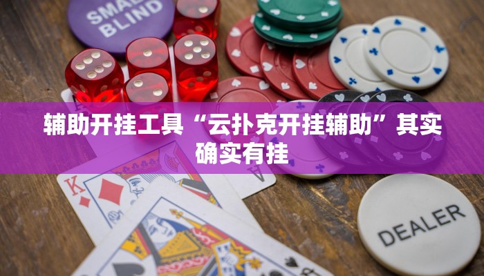 辅助开挂工具“云扑克开挂辅助”其实确实有挂