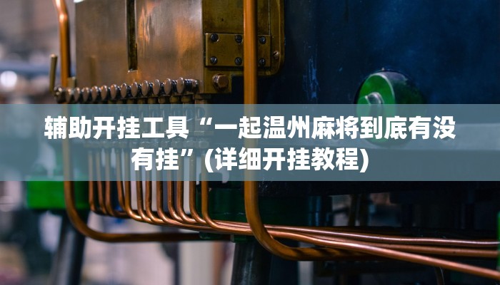 辅助开挂工具“一起温州麻将到底有没有挂”(详细开挂教程)