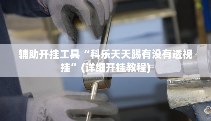 辅助开挂工具“科乐天天踢有没有透视挂”(详细开挂教程)