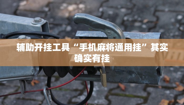 辅助开挂工具“手机麻将通用挂”其实确实有挂