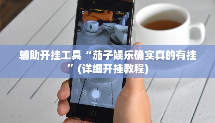 辅助开挂工具“茄子娱乐确实真的有挂”(详细开挂教程)