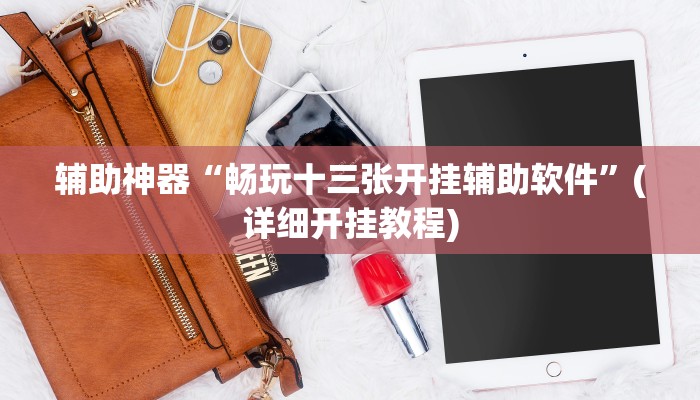 辅助神器“畅玩十三张开挂辅助软件”(详细开挂教程)