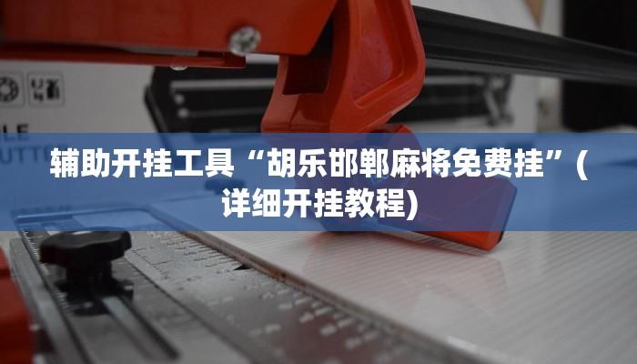 辅助开挂工具“胡乐邯郸麻将免费挂”(详细开挂教程)