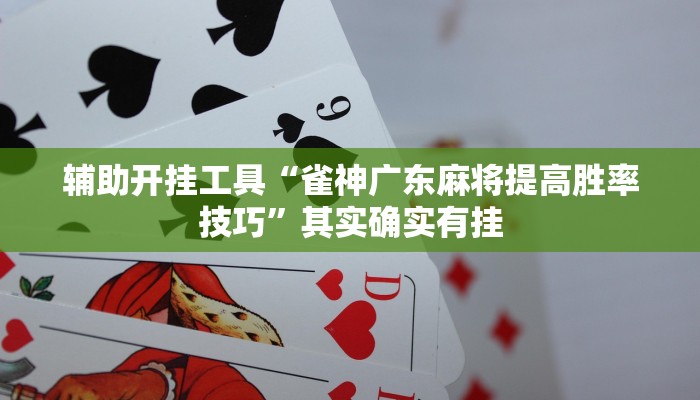 辅助开挂工具“雀神广东麻将提高胜率技巧”其实确实有挂