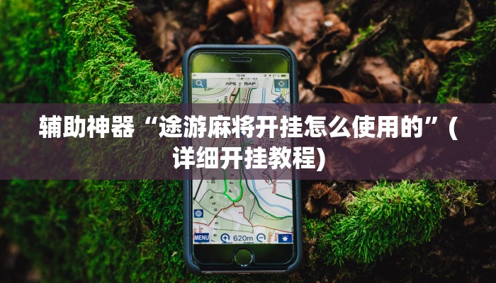 辅助神器“途游麻将开挂怎么使用的”(详细开挂教程)