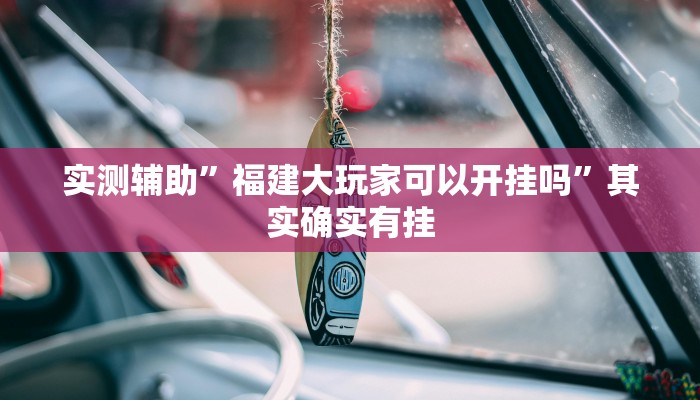 实测辅助”福建大玩家可以开挂吗”其实确实有挂