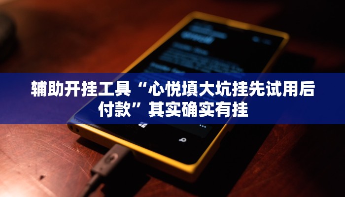 辅助开挂工具“心悦填大坑挂先试用后付款”其实确实有挂